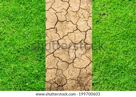 Drought breaks ground fissures of the ground and green grass.