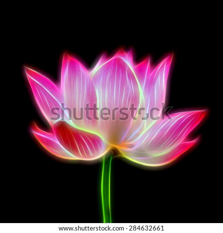 Glow image of lotus on black background.
