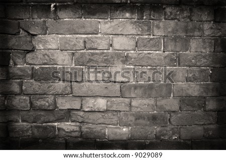 hockey wallpaper border. white wallpaper border.