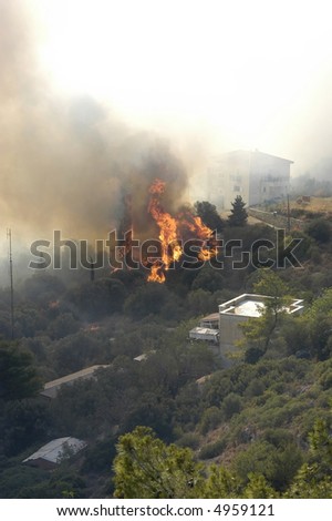 Fire at the island of samos, greece 2007
