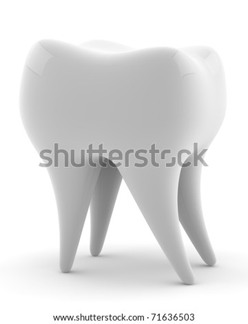 Human Molar Teeth