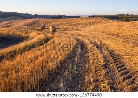 Hay bales and rolling landscape at sunset near Montepulciano, Tuscany, Italy.