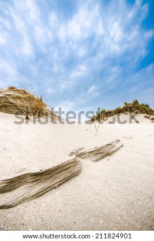 Sand dune patterns created by wind and rain erosion.