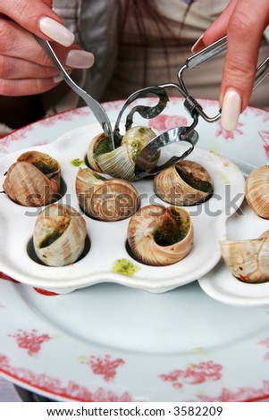 Snails prepared by the cook at restaurant