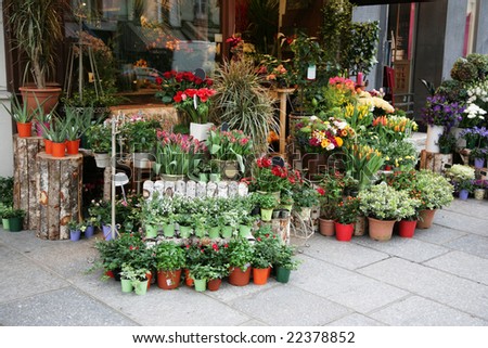 Flower Store on Flower Shop In The Street Paris  France Stock Photo 22378852