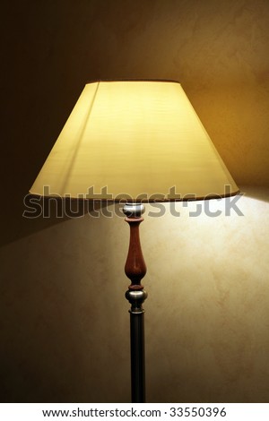 Floor lamp with the big lamp shade