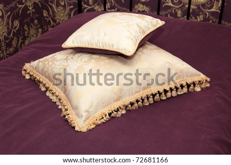 Two decorative pillows on a bed