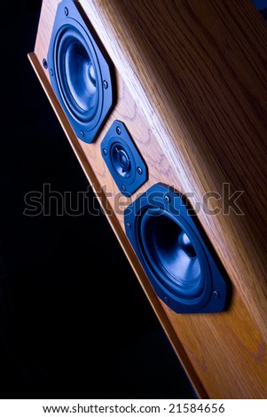 Great loud speakers with wooden finish