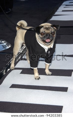 MUSHY the dog at the Los Angeles premiere of his new movie Men in Black II. 26JUN2002.  Paul Smith / Featureflash