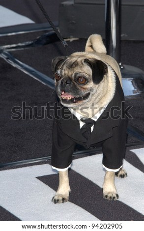 MUSHY the dog at the Los Angeles premiere of his new movie Men in Black II. 26JUN2002.  Paul Smith / Featureflash