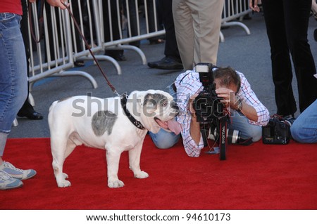Tubbs the dog at the world premiere of his new movie \
