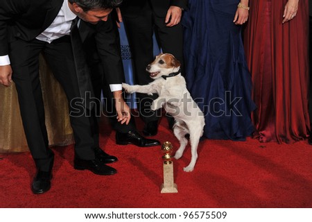 Uggie the dog star of The Artist at the 69th Golden Globe Awards at the Beverly Hilton Hotel. January 15, 2012  Beverly Hills, CA Picture: Paul Smith / Featureflash