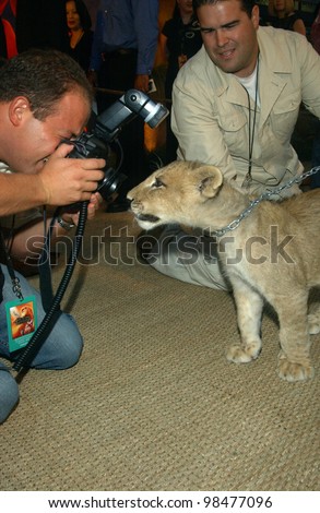 Lion cub SIMBA at the Hollywood premiere for The Lion King Special Edition DVD. Oct 3, 2003  Paul Smith / Featureflash