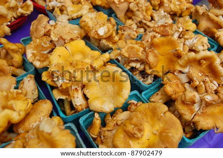 Chanterelle Mushrooms at Farmer\'s Market