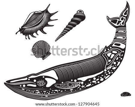 Tribal Sea Animal Tattoo