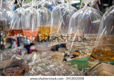 Bangkok, Thailand - Nov 14, 2015 Fish in plastic bag for sell in animal zone at Chatuchak, the biggest weekend market in South East Asia.
