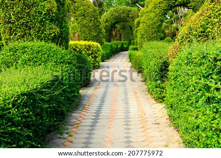 Pathway in garden design.