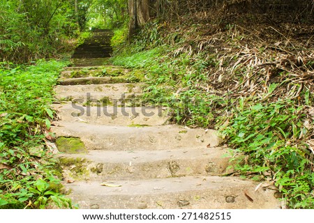 Path way in forest. Concrete steps created by humans