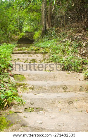 Path way in forest. Concrete steps created by humans