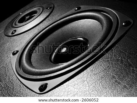 Two speakers, black and white close-up photo