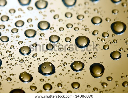water droplets on gold