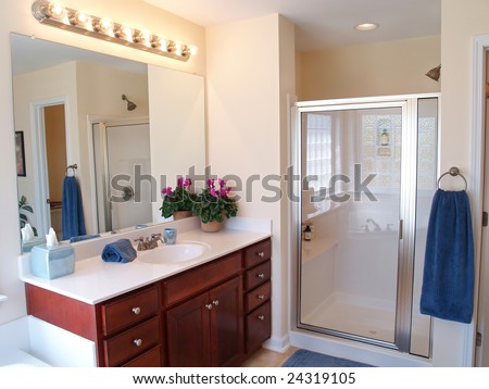 Contemporary Bathroom Mirrors on Modern Bathroom With A Wooden Vanity  Glass Door On The Shower  And A