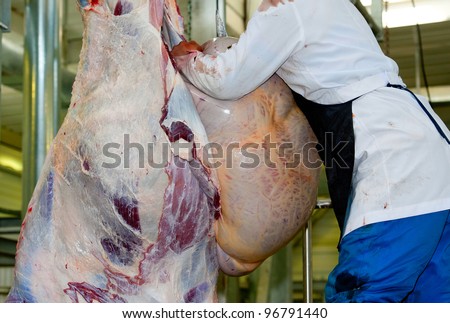 the process of skinning a cow