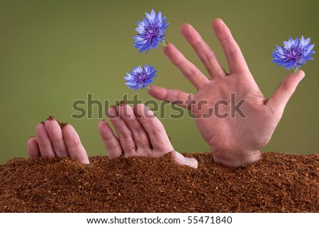 A human hand is shown growing in soil.  It breaks through the soil and forms flowers on the fingers.