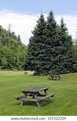 Barbecue tables on green grass in sunny day
