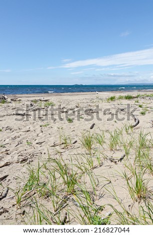 Shore of Superior Lake at summer day