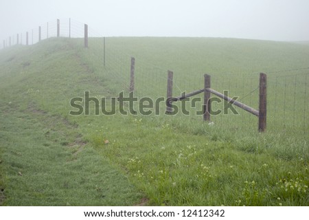 fence posts disappearing into the mist