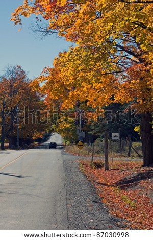 Colorful autumn trees on Ontario country road
