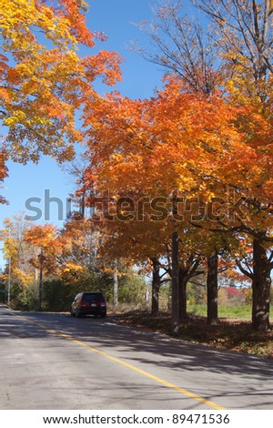 Colorful autumn trees on Ontario country road