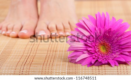Beautiful well-groomed feet with pedicure and pink flower. Focus on flower
