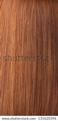 Beautiful shiny brunette hair texture