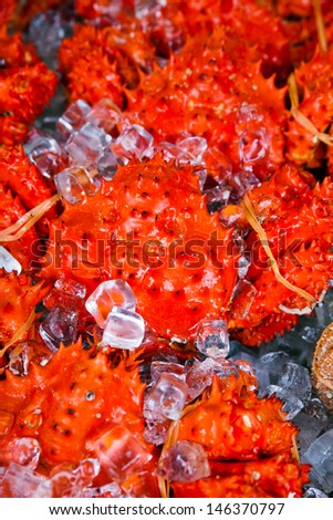 red king crabs on ice 1