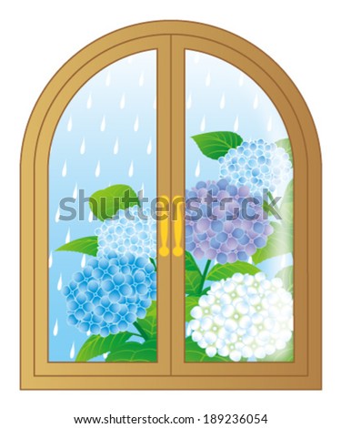 hydrangea flowers through the window, isolated on white background.