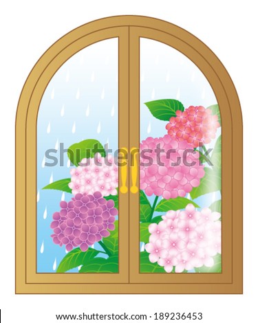 hydrangea flowers through the window, isolated on white background.