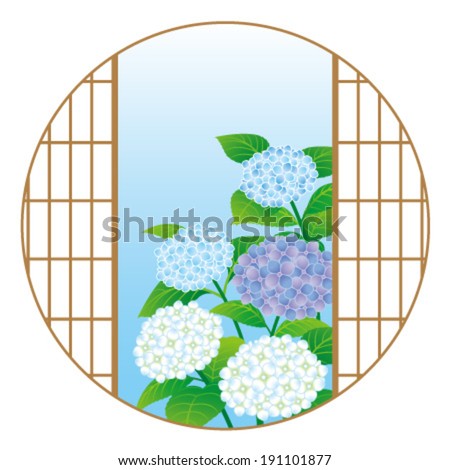 Hydrangea flowers through the Japanese window, isolated on white background.