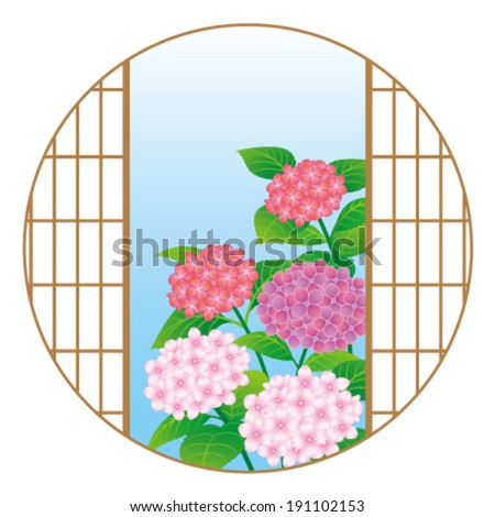 Hydrangea flowers through the Japanese window, isolated on white background.