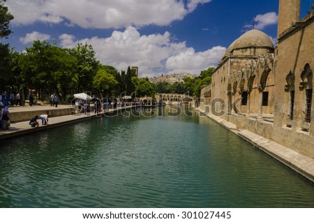 URFA, TURKEY - JUNE 8, 2015: Holy Lake is a holy travel destination fish lake and Halil-ur Rahman Mosque.The pool is at a site where Nimrod  wanted to burn Abraham as a sacrifice.