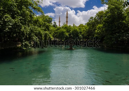 URFA, TURKEY - JUNE 8, 2015: Holy Lake is a holy travel destination fish lake and Halil-ur Rahman Mosque.The pool is at a site where Nimrod  wanted to burn Abraham as a sacrifice.