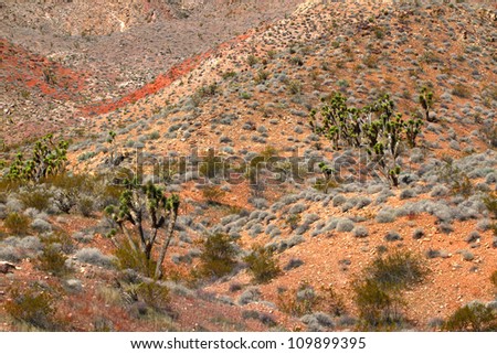 Joshua Trees scattered amongst a rugged desert at Beaver Dam Mountains Wilderness Area