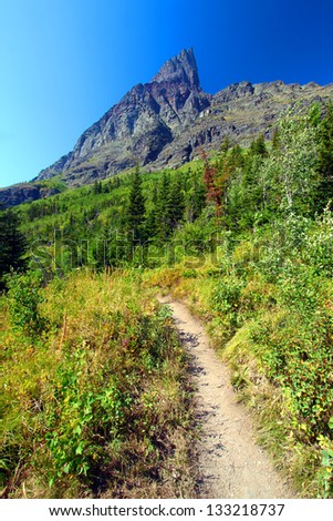 Hiking trail in the Many Glacier area of Glacier National Park