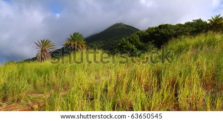 View of Mount Liamuiga from the sugar cane fields of Saint Kitts
