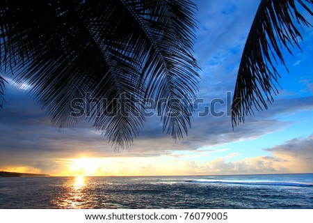 Beautiful sunset framed by palm fronds on the west coast of Puerto Rico