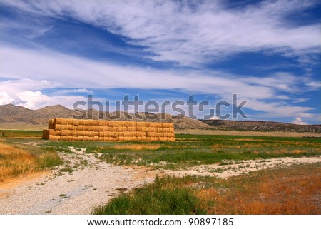 Rural agricultural scenery of Idaho on a sunny summer day