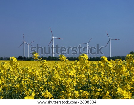 Wind and rapeseed, regenerative energy sources