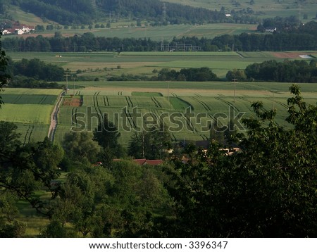 Countryside with fields and trees