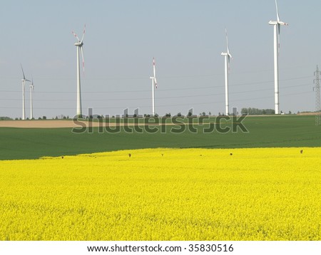 Wind energy and rapeseed, regenerative energy sources